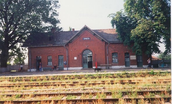Photograph